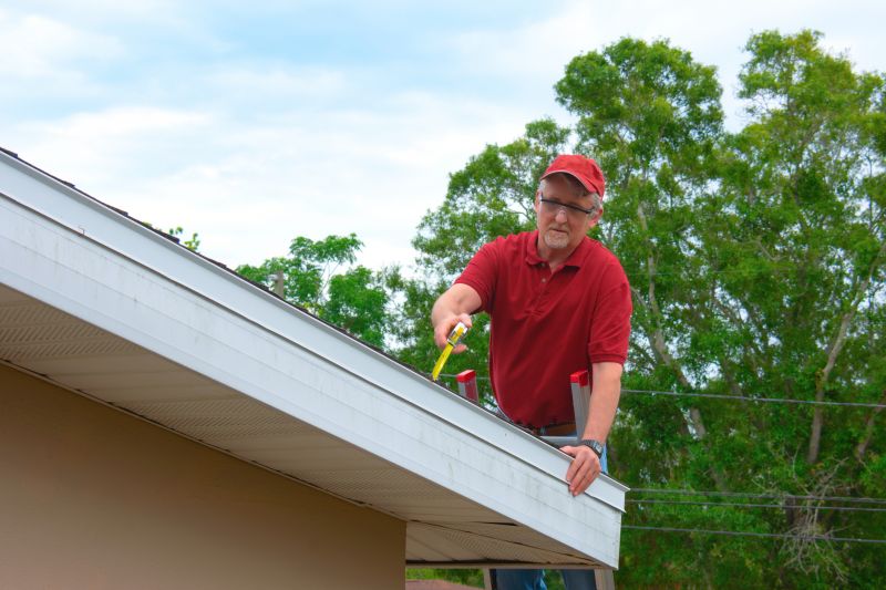 Roof And Gutter Cleaning