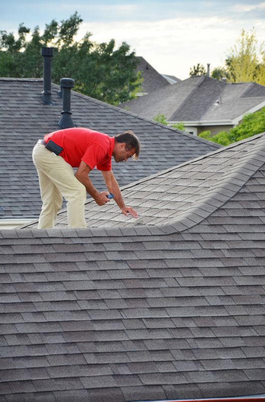 Roof And Gutter Cleaning