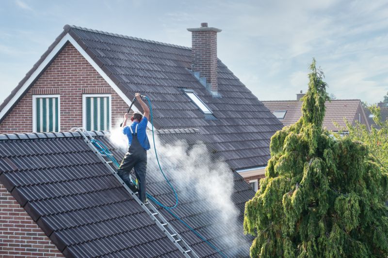 Roof And Gutter Cleaning
