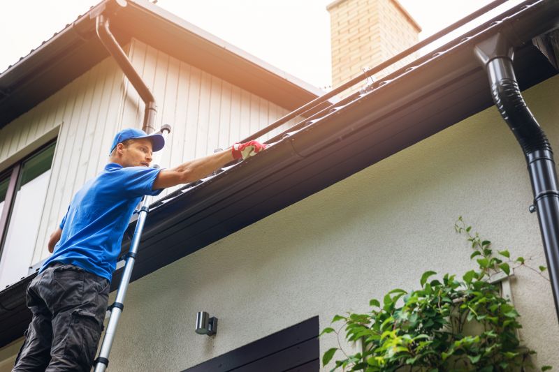 Roof And Gutter Cleaning