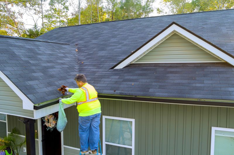 Roof And Gutter Cleaning