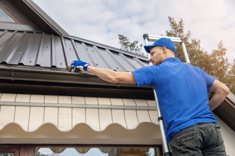 Roof And Gutter Cleaning