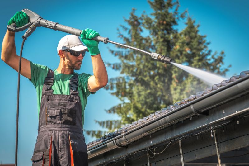 Roof and Gutter Cleaning in Spring