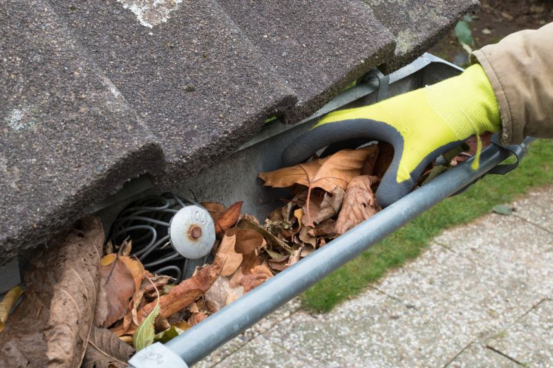 Summer Gutter Maintenance