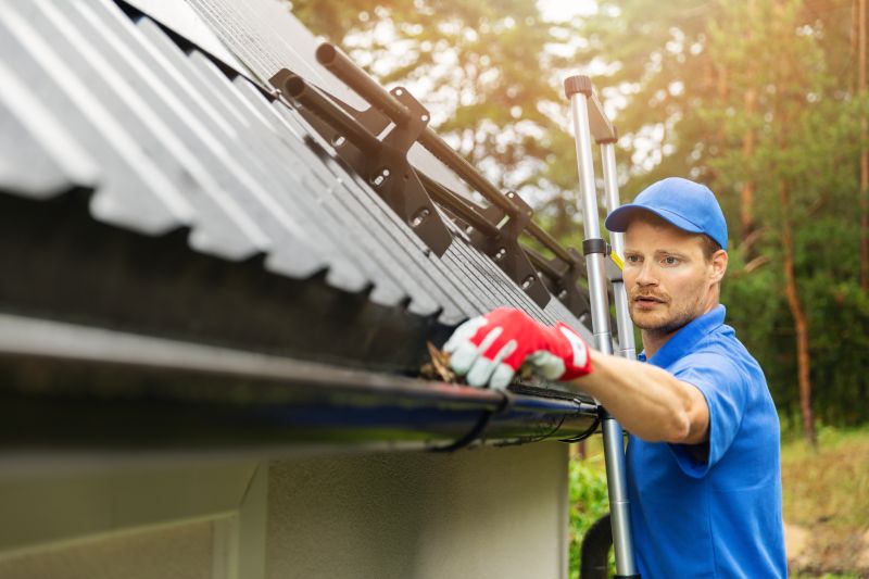 Roof and Gutter Cleaning